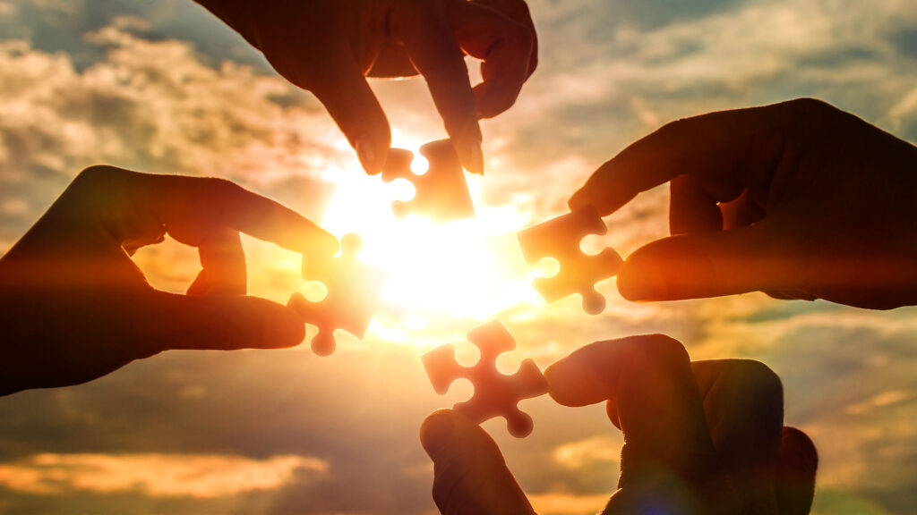 Supervision Coaching Organisationsentwicklung